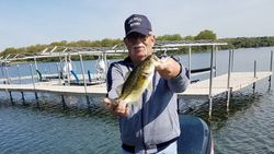 Largemouth Bass in Wisconsin