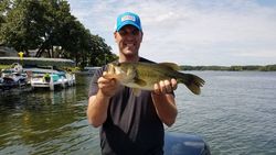 Largemouth Bass in Wisconsin