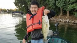 Largemouth Bass in Wisconsin