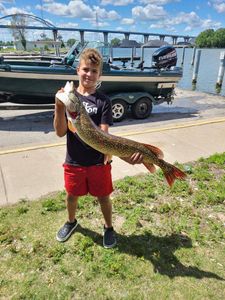 Hooked a Northern Pike on his first trip!