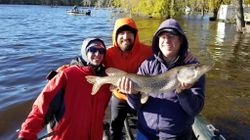 Northern Pike in Wisconsin