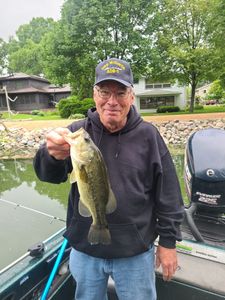 Largemouth bass caught in Sturgeon Bay