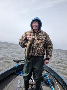 Lone angler fishing at Sturgeon Bay