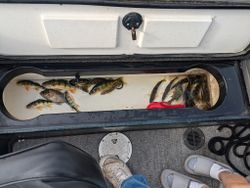 Two fishers enjoying a great fishing trip in WI