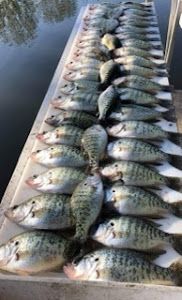 Branson's Crappie Quest