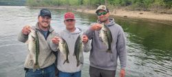 Plan Your Table Rock Lake Adventure, Bass Fshing