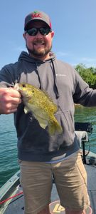 Your Table Rock Lake Fishing Expert