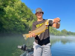 Book Your Taneycomo Trout Guide
