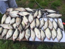 Epic Fishing at Table Rock Lake, Crappie Fishing