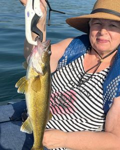 Iowa folks snatching Walleye, bass and bull bluegill