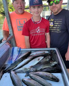 5 rainbow trout caught on a fishing trip in MO
