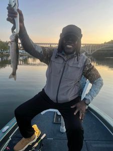 Angler holding rainbow trout in Missouri