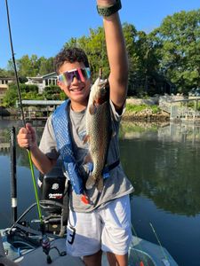 A rainbow trout being caught while fishing in MO