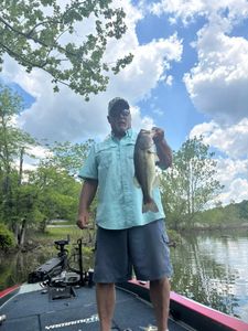 Largemouth Bass caught by angler in MO