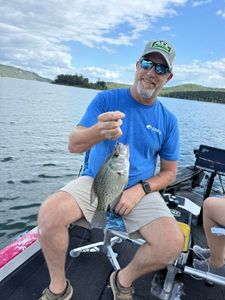 Crappie fish caught while fishing in MO