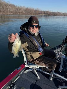Photo of a crappie fish caught while fishing in Kimberling City