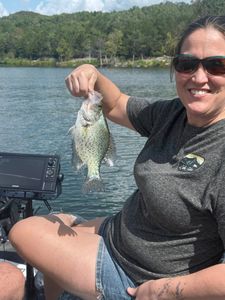 A single crappie fish caught while fishing in Missouri