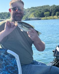 Smallmouth bass caught fishing in Kimberling City