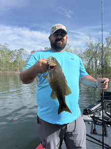 Hooked a hefty largemouth bass with expert jigging, bait casting, and tackle techniques.