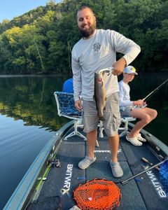 A single rainbow trout caught while fishing in MO