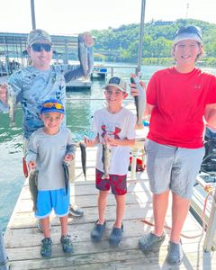 Four rainbow trout caught in Kimberling City