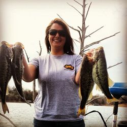 Four sea bass caught while fishing in Kimberling City