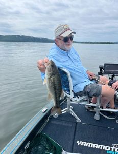Largemouth Bass caught fishing in MO