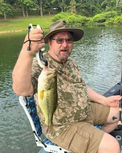 Largemouth Bass caught in Kimberling City