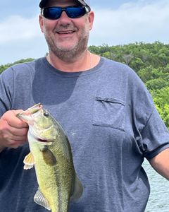Largemouth bass caught while fishing in Kimberling City