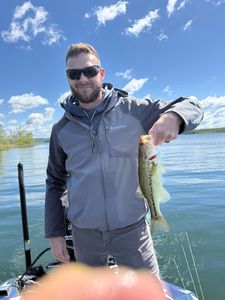 Largemouth bass caught while fishing in Missouri