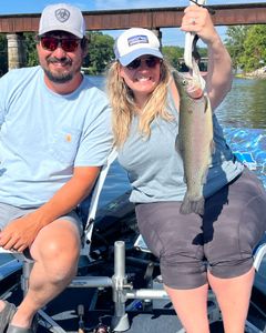 Caught a 17-inch Rainbow Trout while fishing in MO