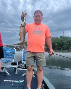 A rainbow trout caught in MO
