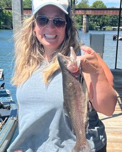 Rainbow trout caught while fishing in Missouri