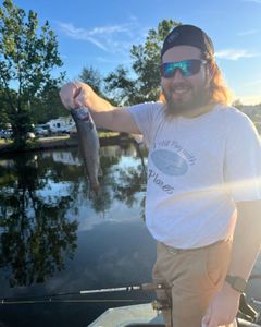 Rainbow trout fishing in MO