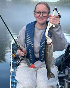 A single rainbow trout caught fishing in MO