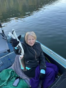 Fishing for a Rainbow Trout in MO