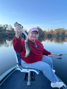 Rainbow trout caught while fishing in MO