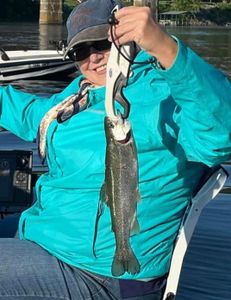Fisherman holding a rainbow trout in Kimberling City