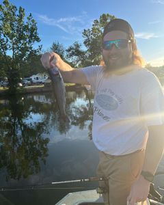 Rainbow trout caught while fishing in Kimberling City