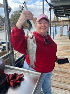 A person holding a rainbow trout fish in Kimberling City