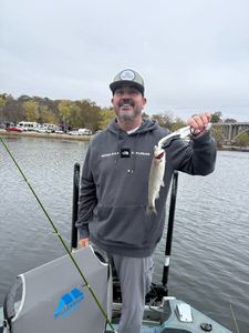 A rainbow trout caught by an angler in Kimberling City