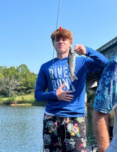 Rainbow trout caught in Missouri