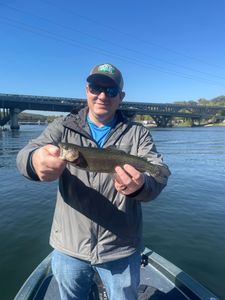 A single rainbow trout, 18 inches long, caught while fishing in MO