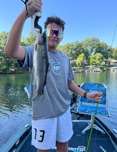 Photograph of a fisherman holding a large rainbow trout in MO