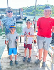 5 rainbow trout in Kimberling City