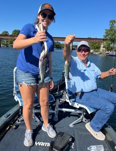 Two rainbow trout caught in Kimberling City