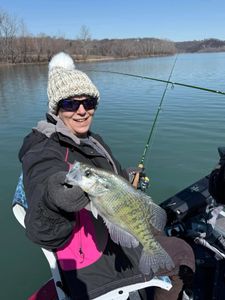 A white crappie fish caught while fishing in MO