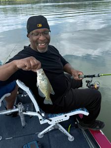 White crappie fish caught while fishing in MO