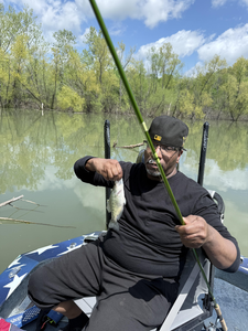 Epic day of jigging, bait casting, and tackling the big one at Table Rock State Park!