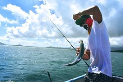 A fishing trip in Tampa, Florida, showcasing the great outdoors.